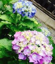 株式会社リンクス 元機関投資家のFPが語るマイナス金利と不動産投資 不動産投資で失敗しないための勉強会