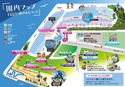 ■■ 大人気のネモフィラ祭りがまもなく開催 ■■