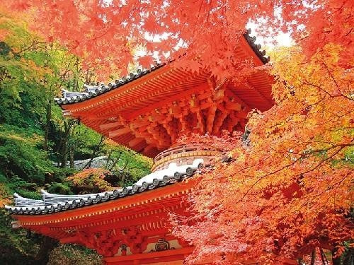 牛滝山