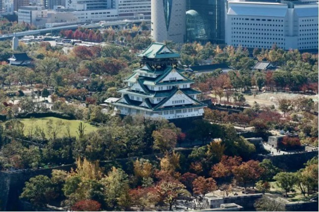 株式会社リンクス