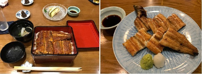 本家 柴藤