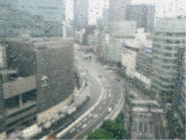 台風シーズンと経済活動の意外な関係