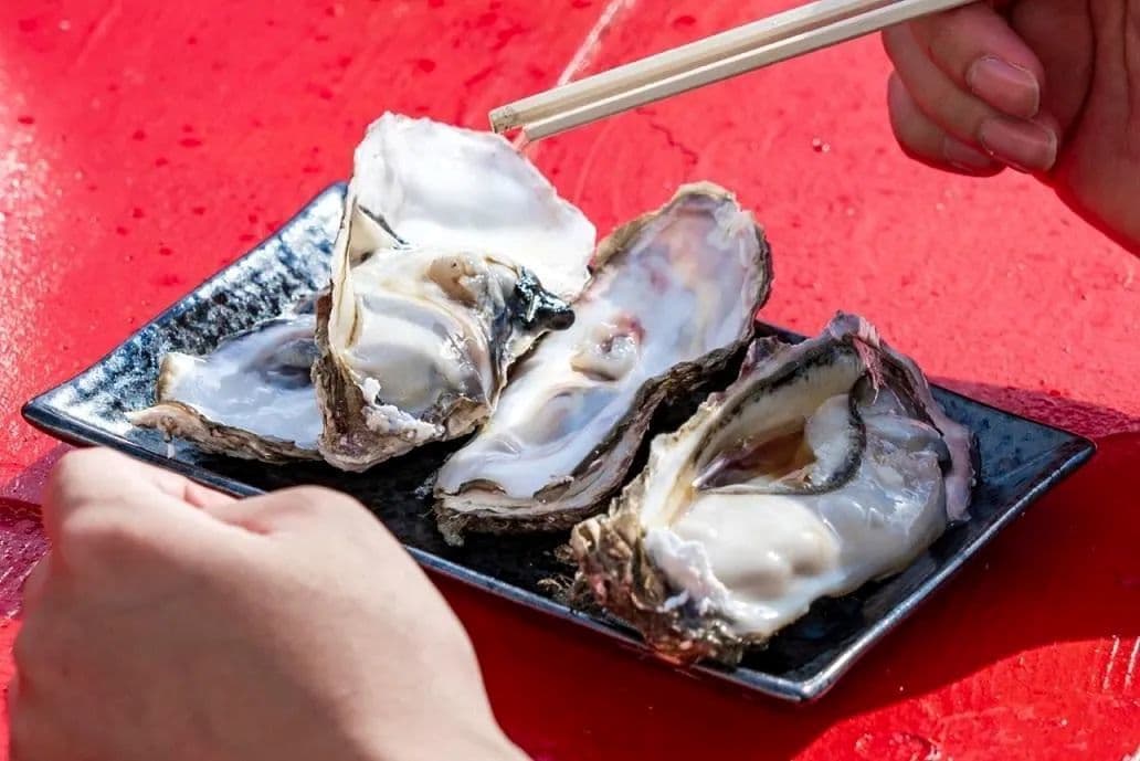 SENNAN LONG PARK 海のマルシェ(大阪府泉南市りんくう南浜2-201)