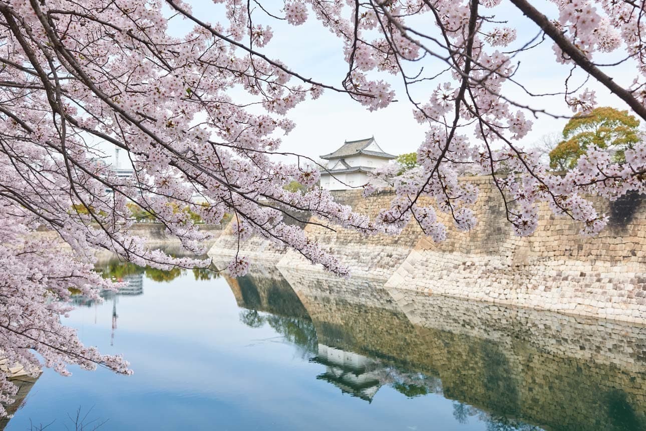 大阪城 西の丸庭園「観桜ナイター2026」