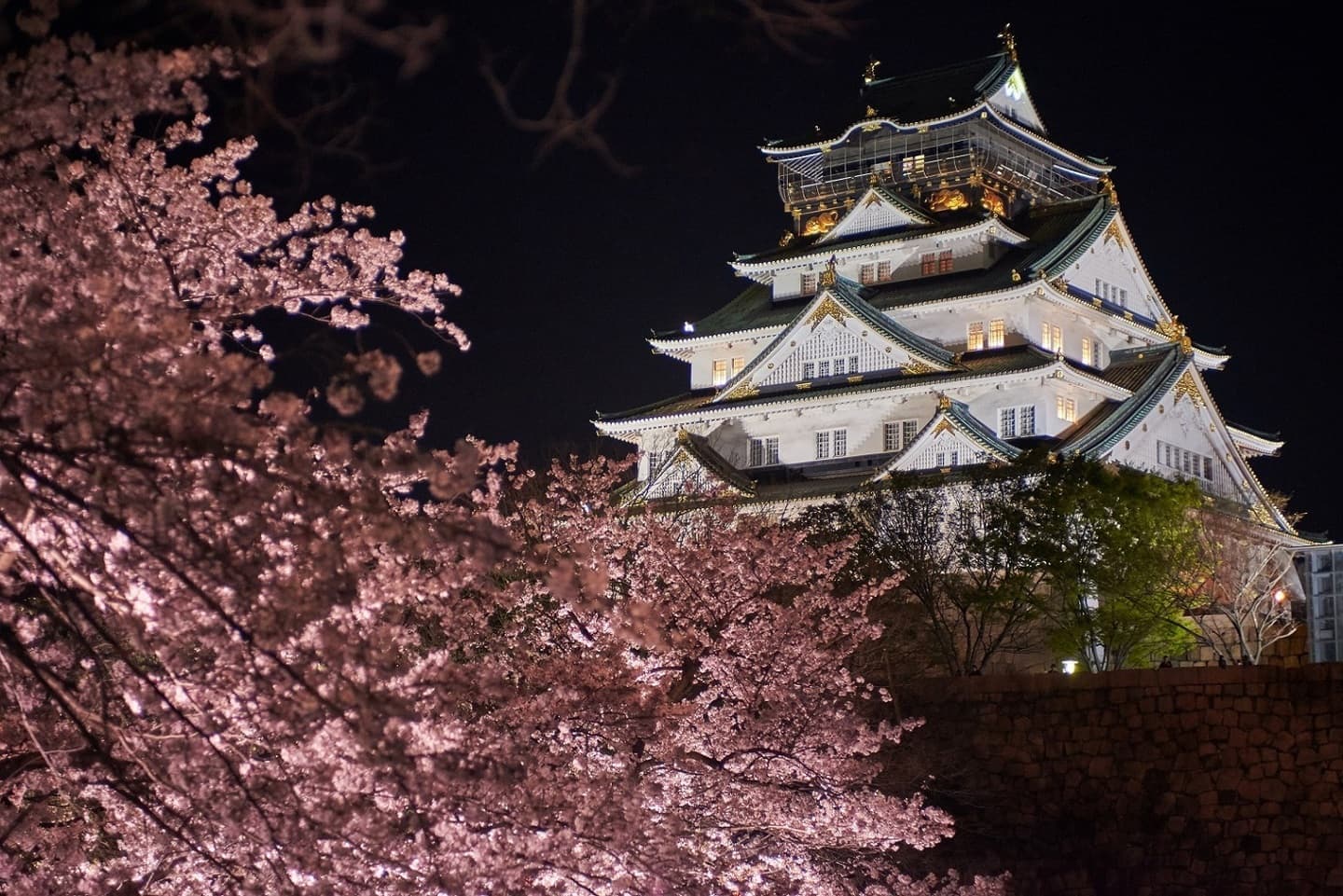 大阪城 西の丸庭園「観桜ナイター2026」